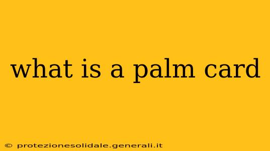 what is a palm card