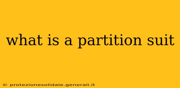 what is a partition suit