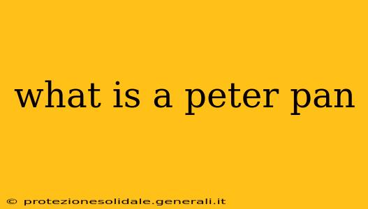 what is a peter pan