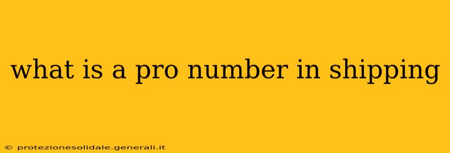 what is a pro number in shipping