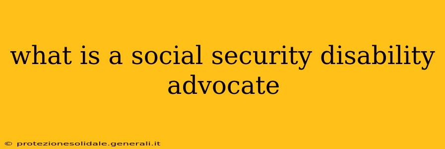 what is a social security disability advocate