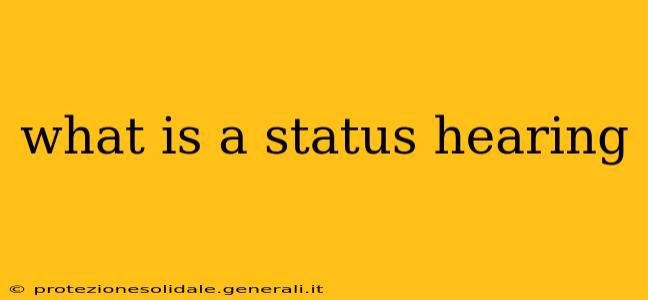 what is a status hearing