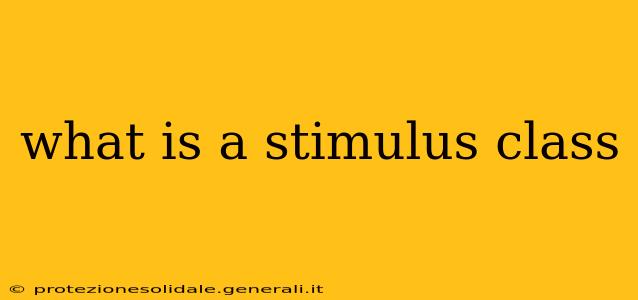 what is a stimulus class