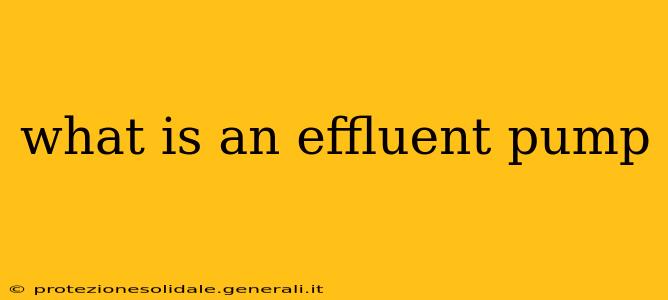 what is an effluent pump