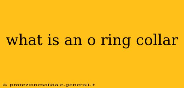 what is an o ring collar