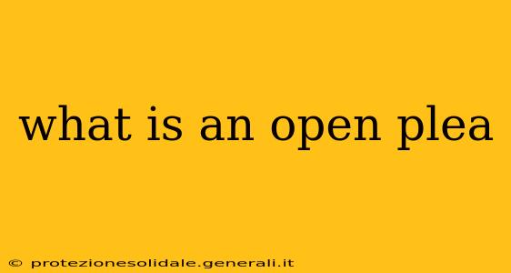 what is an open plea
