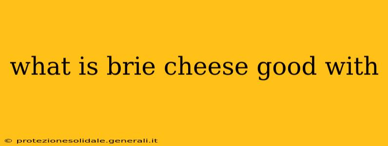 what is brie cheese good with