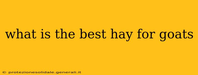 what is the best hay for goats