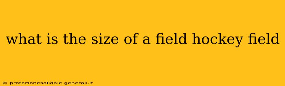 what is the size of a field hockey field