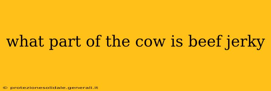 what part of the cow is beef jerky