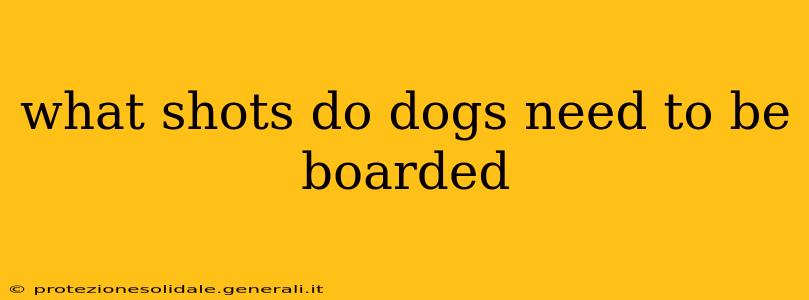 what shots do dogs need to be boarded