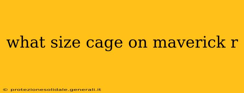 what size cage on maverick r