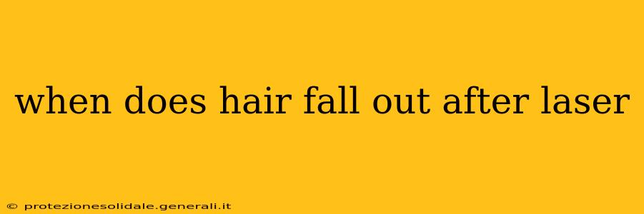 when does hair fall out after laser