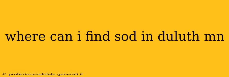 where can i find sod in duluth mn