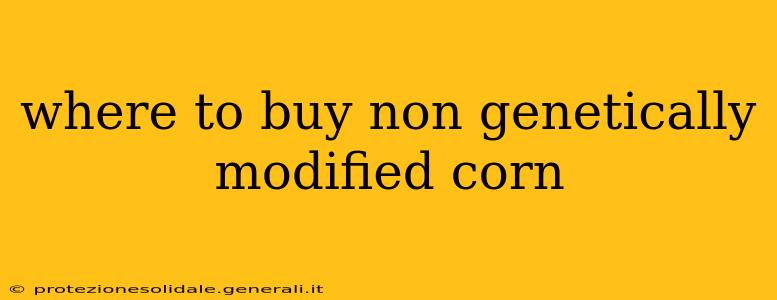 where to buy non genetically modified corn