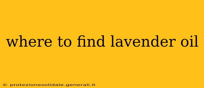 where to find lavender oil