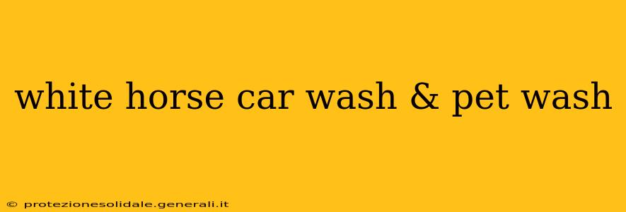 white horse car wash & pet wash