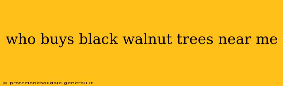 who buys black walnut trees near me
