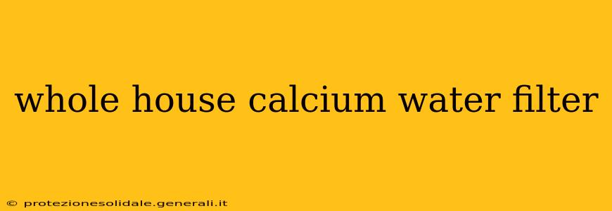 whole house calcium water filter