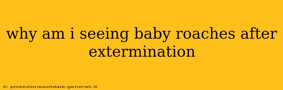 why am i seeing baby roaches after extermination