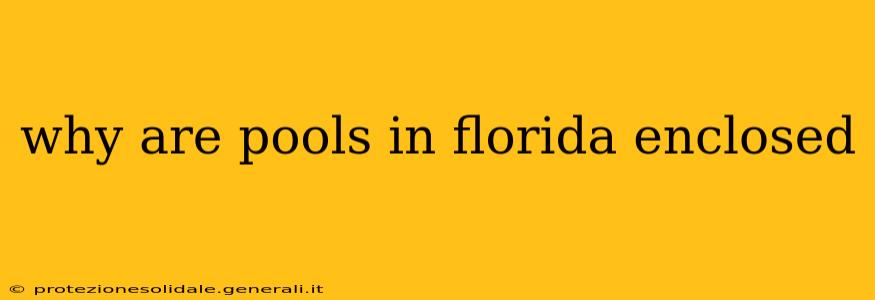 why are pools in florida enclosed
