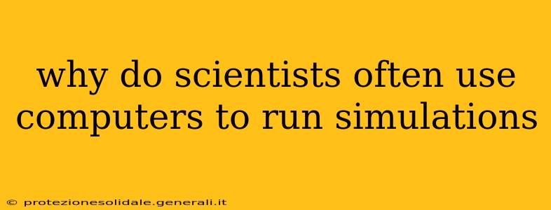 why do scientists often use computers to run simulations
