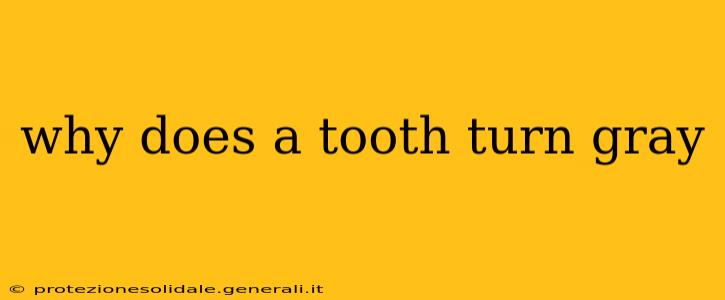 why does a tooth turn gray