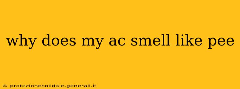 why does my ac smell like pee