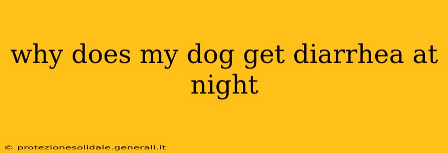 why does my dog get diarrhea at night