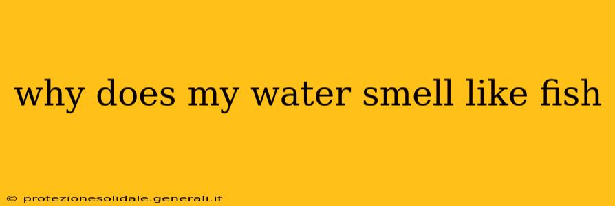 why does my water smell like fish