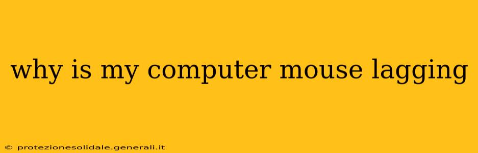 why is my computer mouse lagging