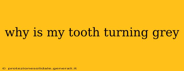 why is my tooth turning grey