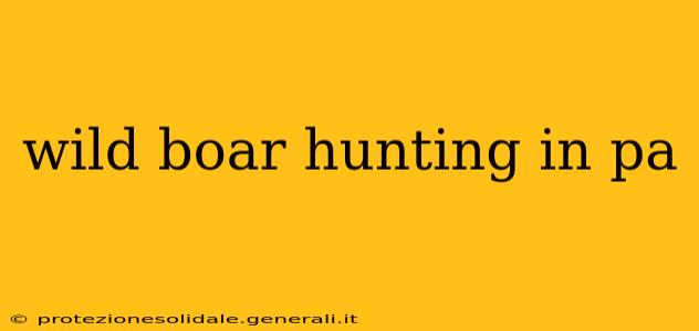 wild boar hunting in pa