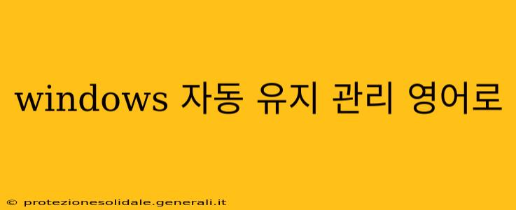 windows 자동 유지 관리 영어로